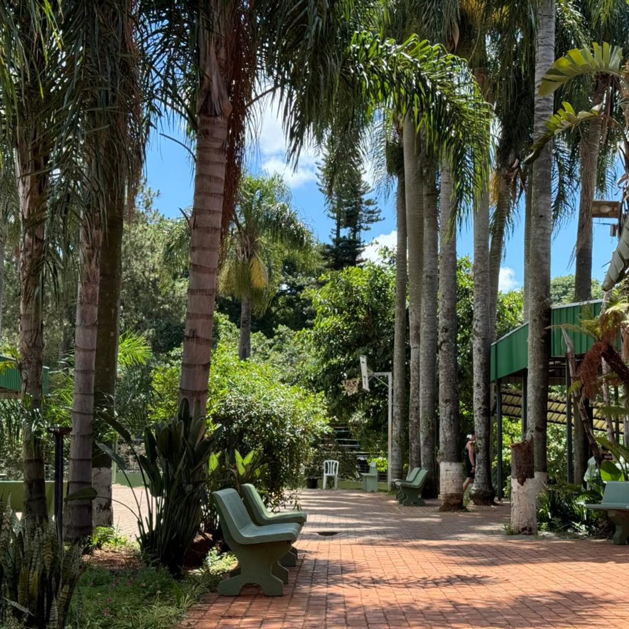 Área externa ampla com cadeiras e natureza ao redor