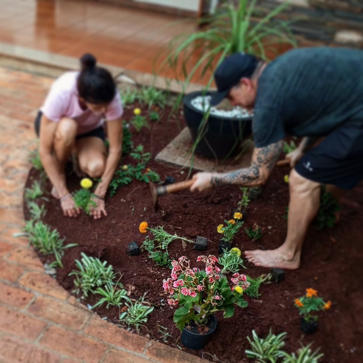 Canteiro estruturado para horta e jardinagem